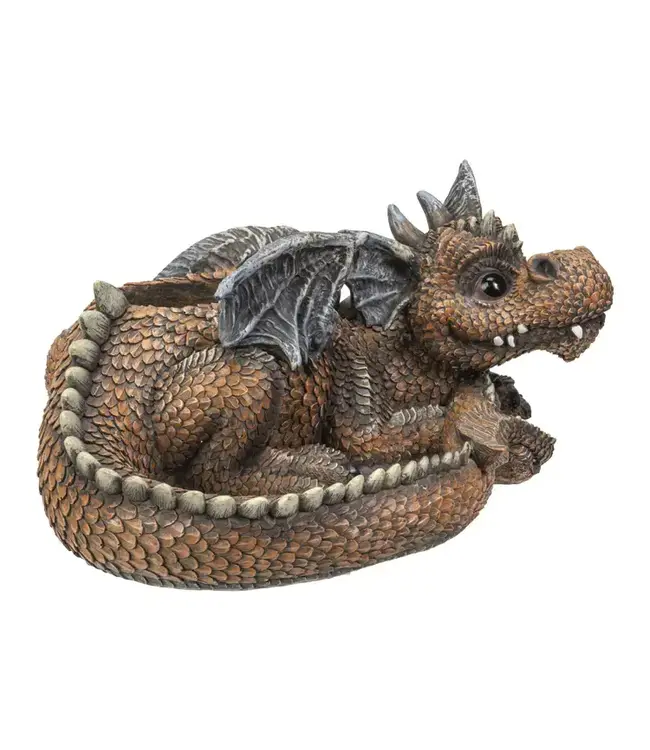 Unleash the Magic: Dragon Succulent Planter