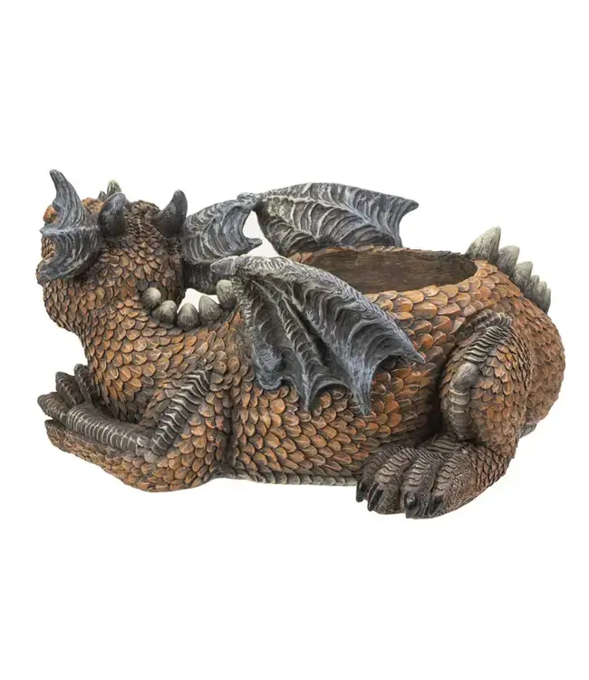 Unleash the Magic: Dragon Succulent Planter