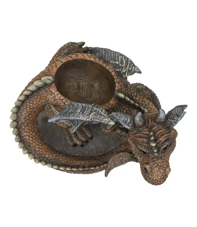 Unleash the Magic: Dragon Succulent Planter