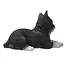 Purr-fect Laying Down Cat Sculpture