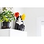 Purr-fect Cat Vase: Where Felines Meet Flowers!