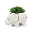 Trunk-ated Elegance: The Large Elephant Planter