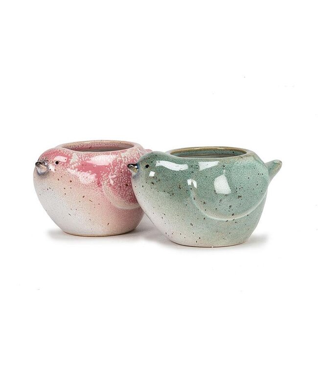 Birds, Blooms, and Pink Hues!