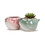 Birds, Blooms, and Pink Hues!