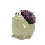 Frog-tastic Planting Fun!