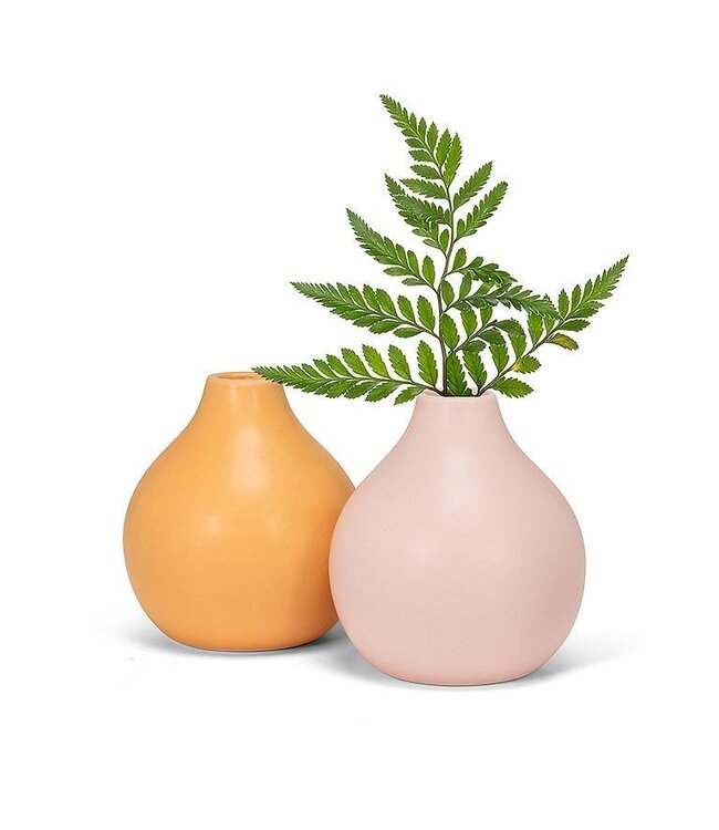 Vase Goals: Meet Your New Matte Companion!