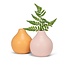 Vase Goals: Meet Your New Matte Companion!