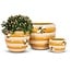 Buzzing Beauty: Large Beehive Planter