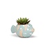 Swim into Style: The Small Fish Planter!