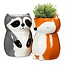 Foxy Planter: Where Cacti Meet Charm!