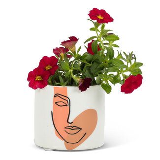 Abbott Small Modern Face Planter