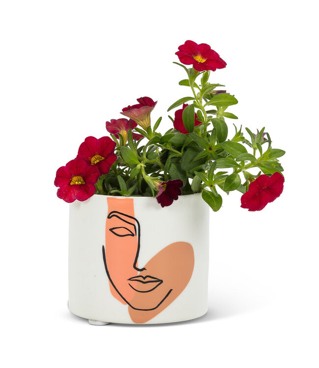 Chic Faces: The Small Planter with Big Style!