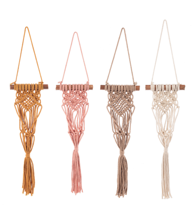 Macrame Colorful Plant Hangers