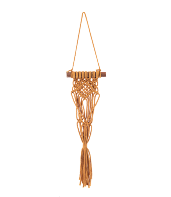 Macrame Colorful Plant Hangers