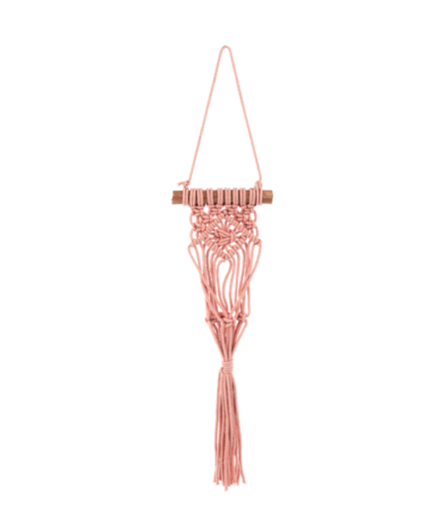 Macrame Colorful Plant Hangers