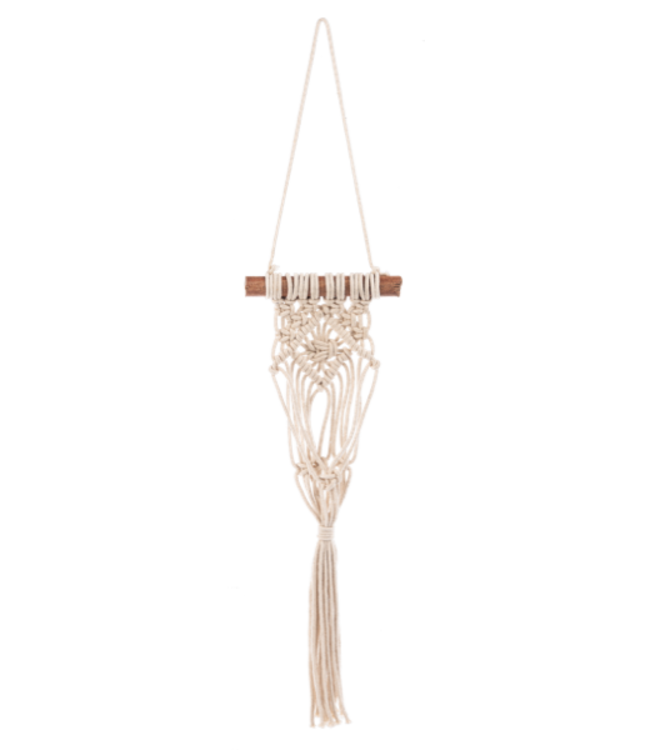 Macrame Colorful Plant Hangers