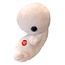 From Cell to Cuddle: Meet Our Fetus Plush!
