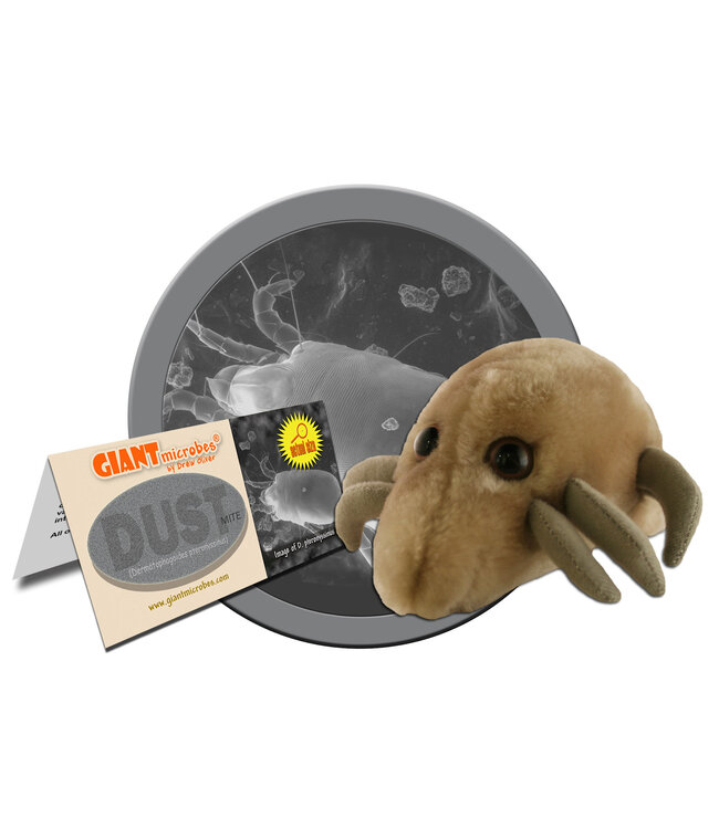 Dust Mite Educational Plush: Learn About Allergens!