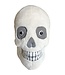 Skull-tastic Plush: A Brainy Gift!