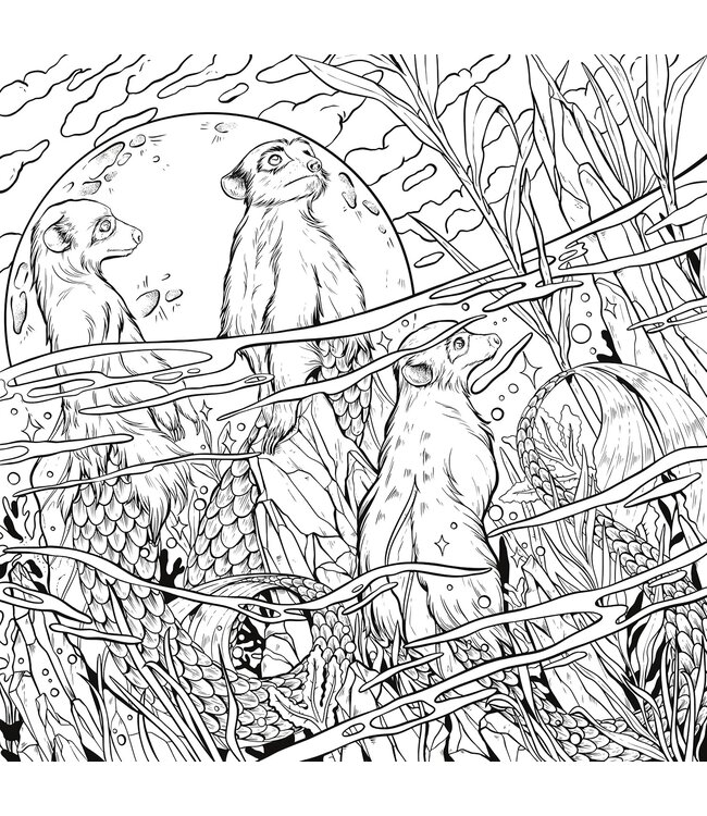 The Menagerie: An Artist's  Coloring