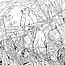 The Menagerie: An Artist's  Coloring