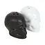 Gothic Skull Salt and Pepper Shakers
