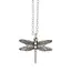 Dragonfly Dreams: Resilient Elegance