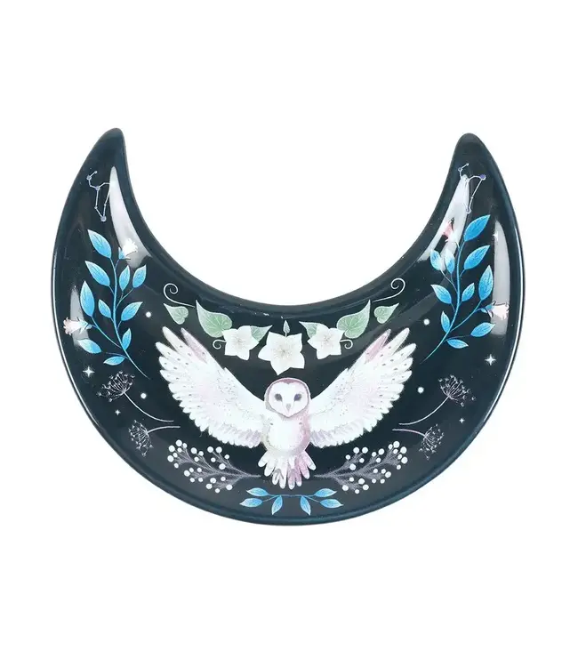 Whimsical Owl Charm: Crescent Moon Trinket Dish