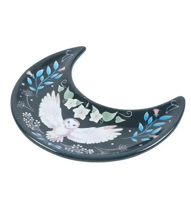 Whimsical Owl Charm: Crescent Moon Trinket Dish