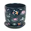 Potty for Plants: The Pond Print Perfection!