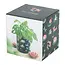 Potty for Plants: The Pond Print Perfection!