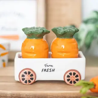 Something Different Carrot Patch Salt and Pepper Shakers in Wagon