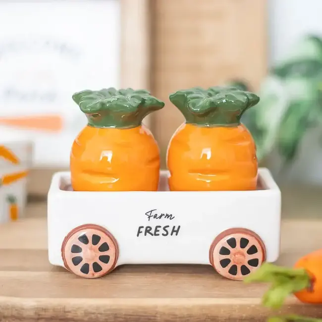 Carrot-tastic Salt & Pepper Duo!
