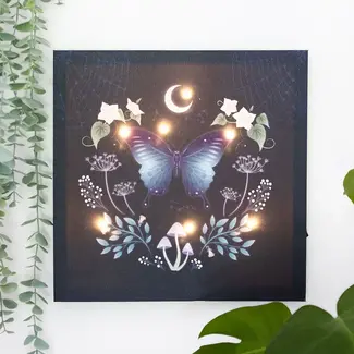 Something Different Midnight Moth Light Up Canvas Plaque