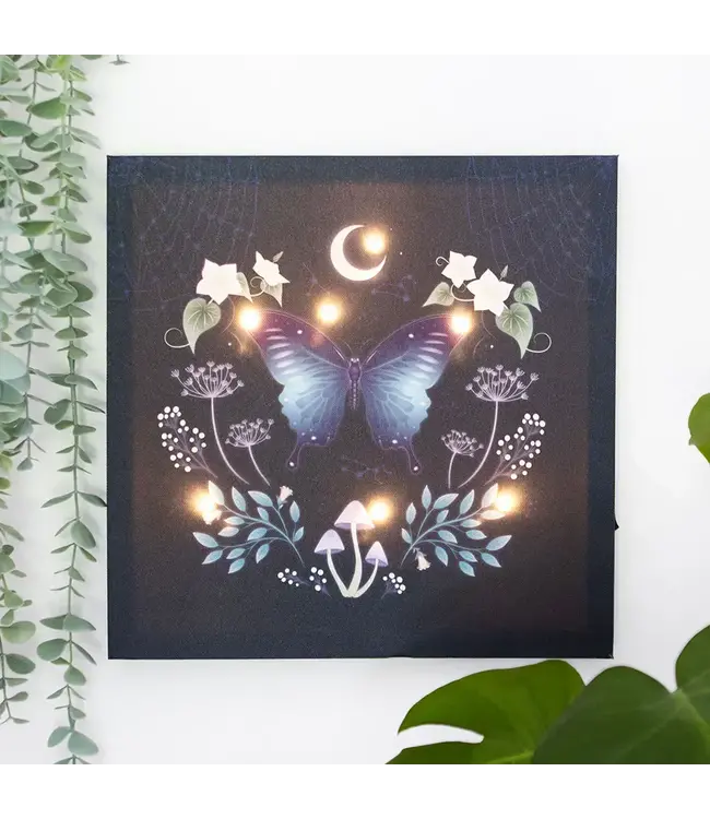Midnight Moth Light Up Canvas Plaque