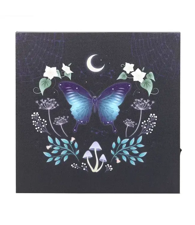Midnight Moth Light Up Canvas Plaque