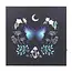 Midnight Moth Light Up Canvas Plaque