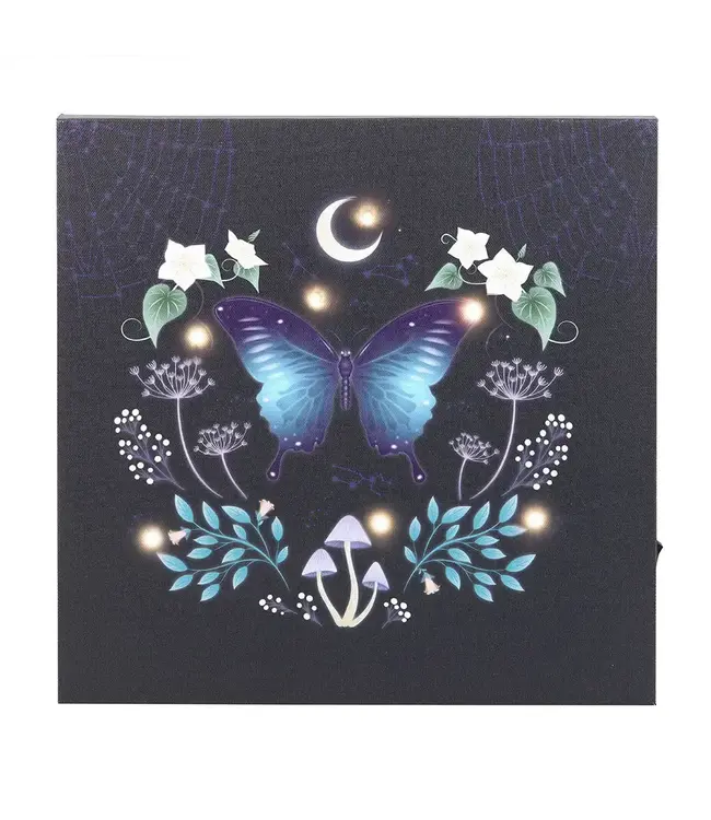 Midnight Moth Light Up Canvas Plaque