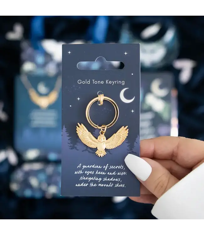 Unlock Good Luck: The Enchanting Owl Keyring!