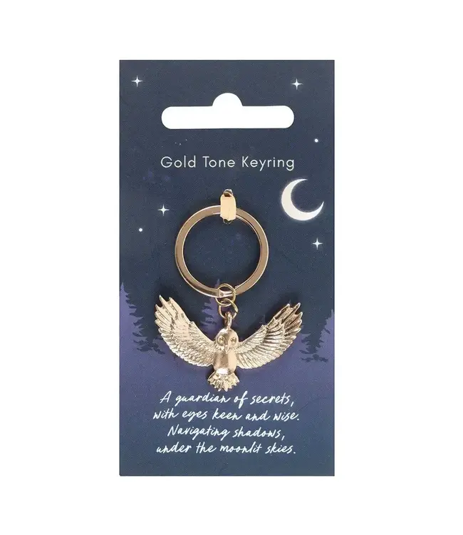 Unlock Good Luck: The Enchanting Owl Keyring!