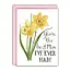 You're the Best Mom I've Ever Had Card