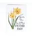 You're the Best Mom I've Ever Had Card