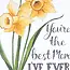 You're the Best Mom I've Ever Had Card
