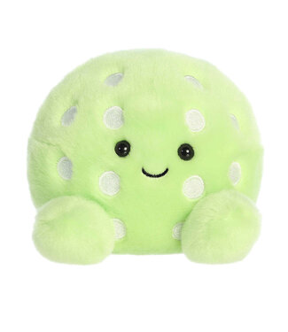 Aurora Ppals- Steve Pickleball Aurora Ppals- Steve Pickleball