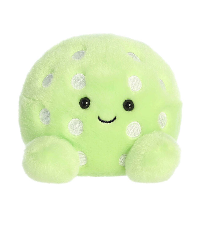 Ppals- Steve Pickleball