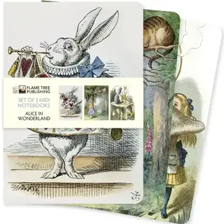 Texas Bookman Alice In Wonderland Set Of 3 Midi Notebooks