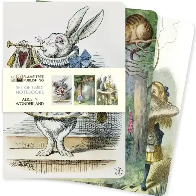 Alice In Wonderland Set Of 3 Midi Notebooks