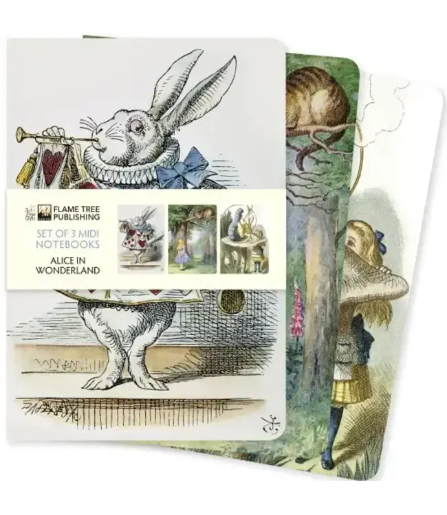 Alice In Wonderland Set Of 3 Midi Notebooks