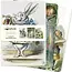Alice In Wonderland Set Of 3 Midi Notebooks