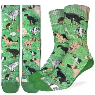 Men's Dogs Pooping Socks